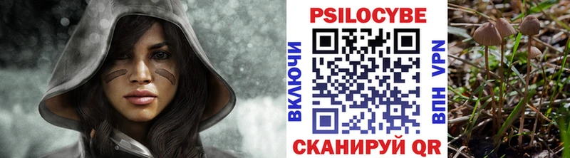 blacksprut Приволжск Псилоцибиновые грибы MAGIC MUSHROOMS